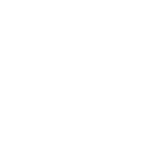 The Shape